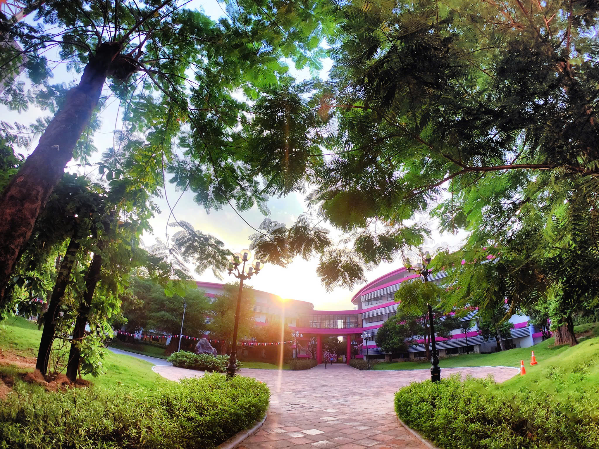 Giáo viên tiểu học