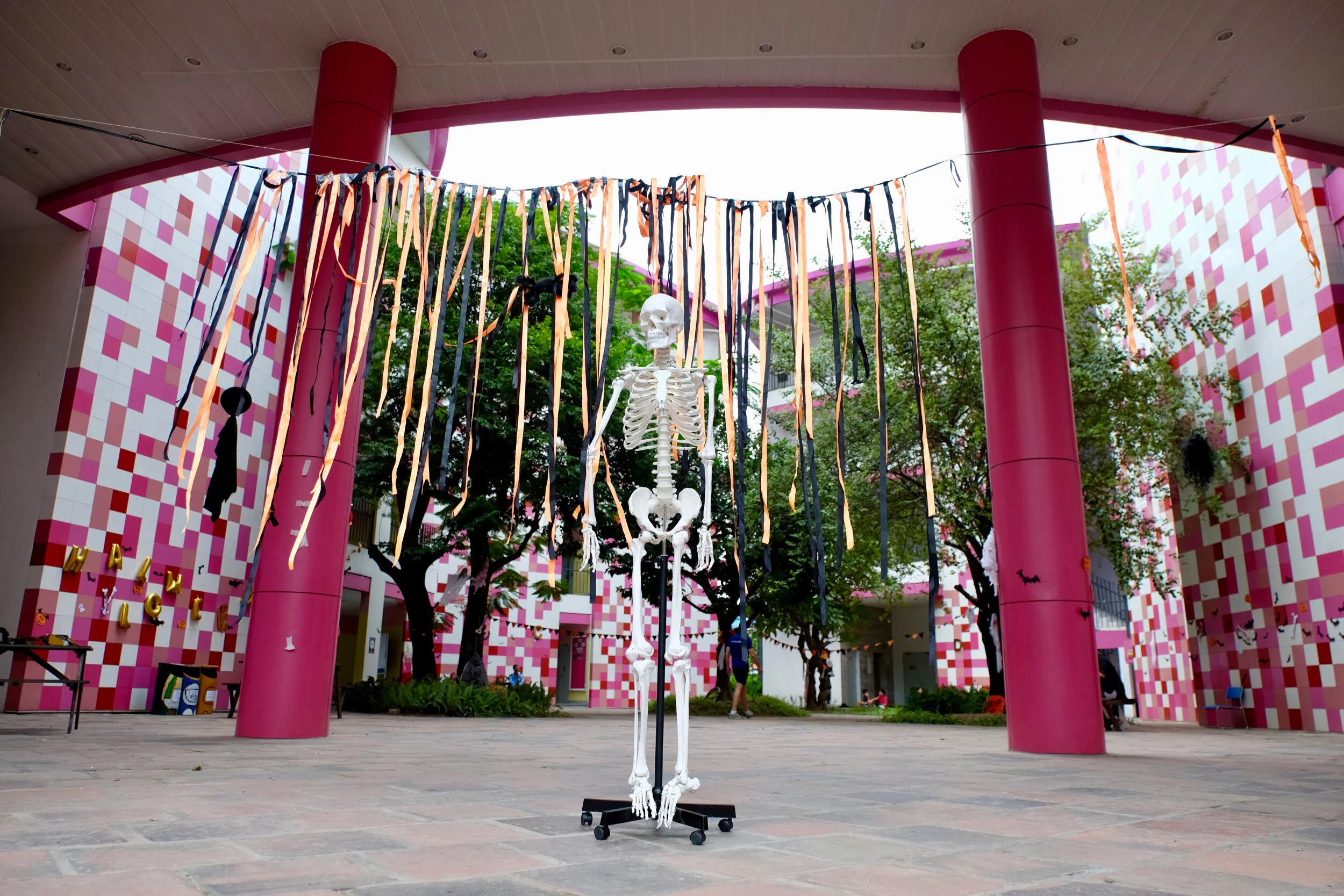 DSCF5411.jpg