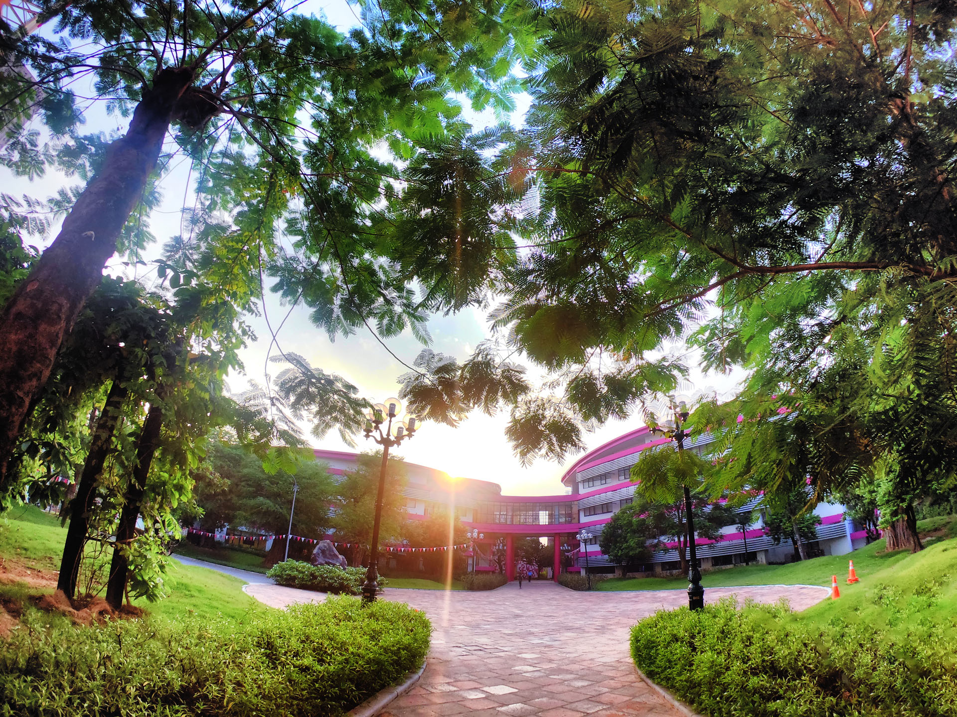 The view under the trees