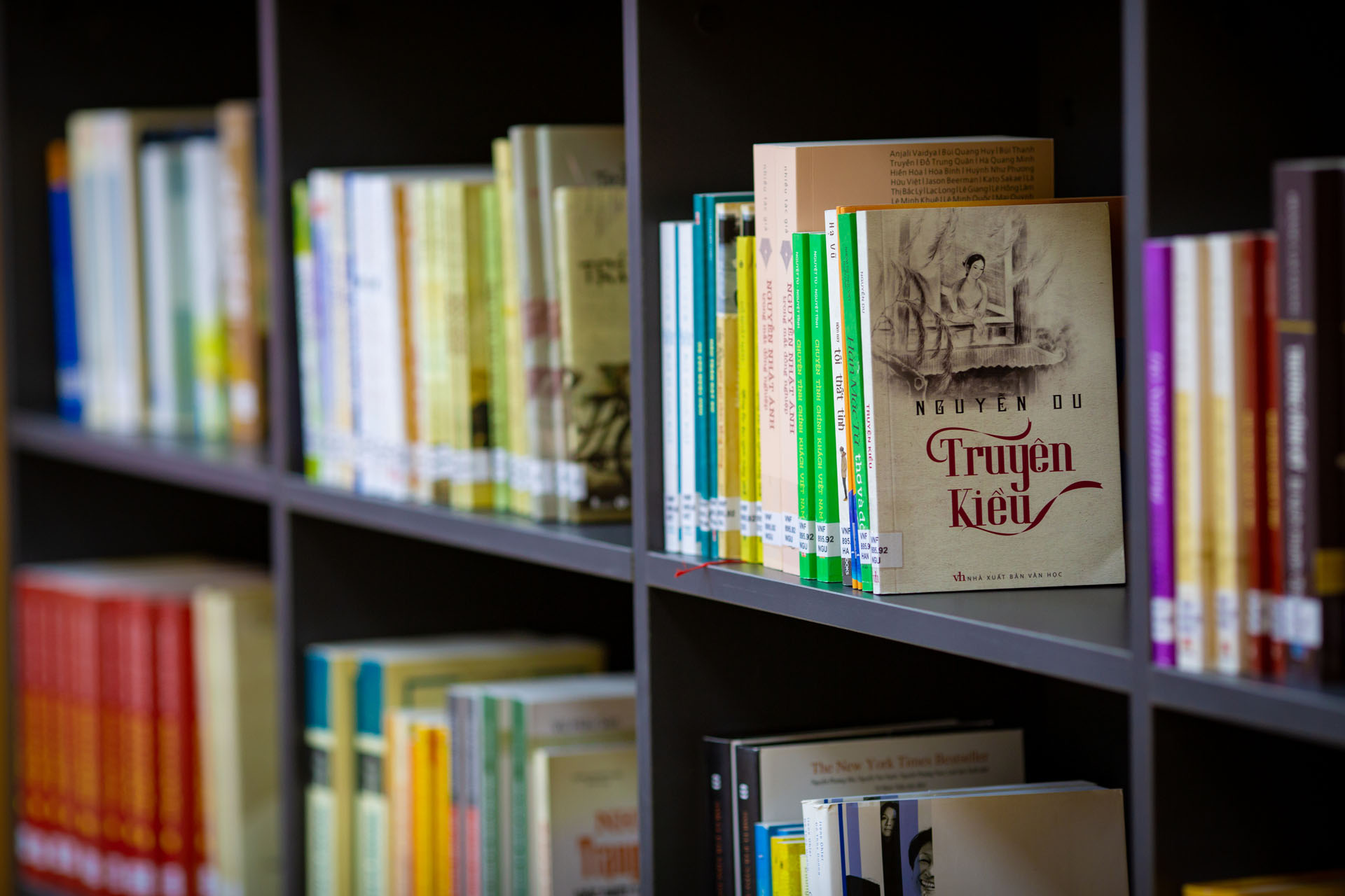 Library